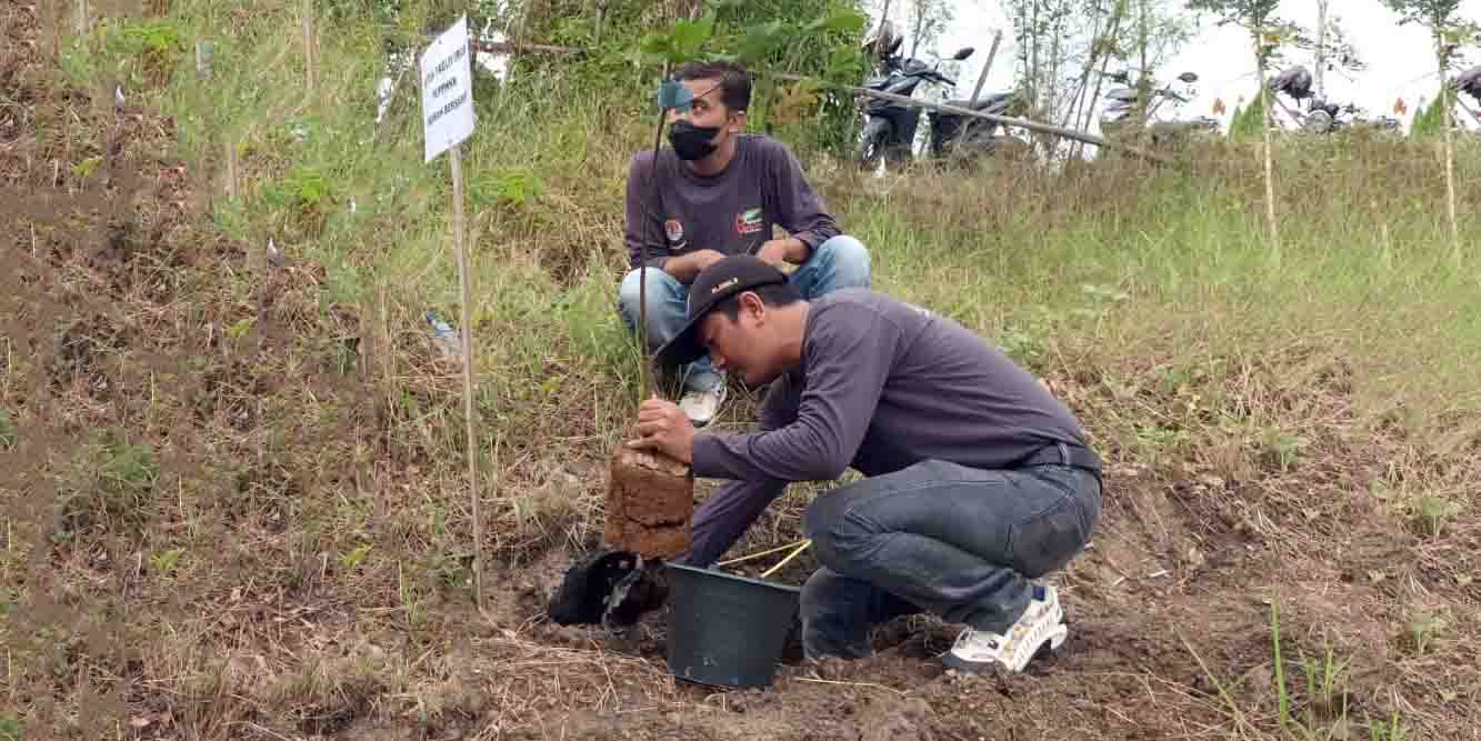 Penanaman Bibit Pohon